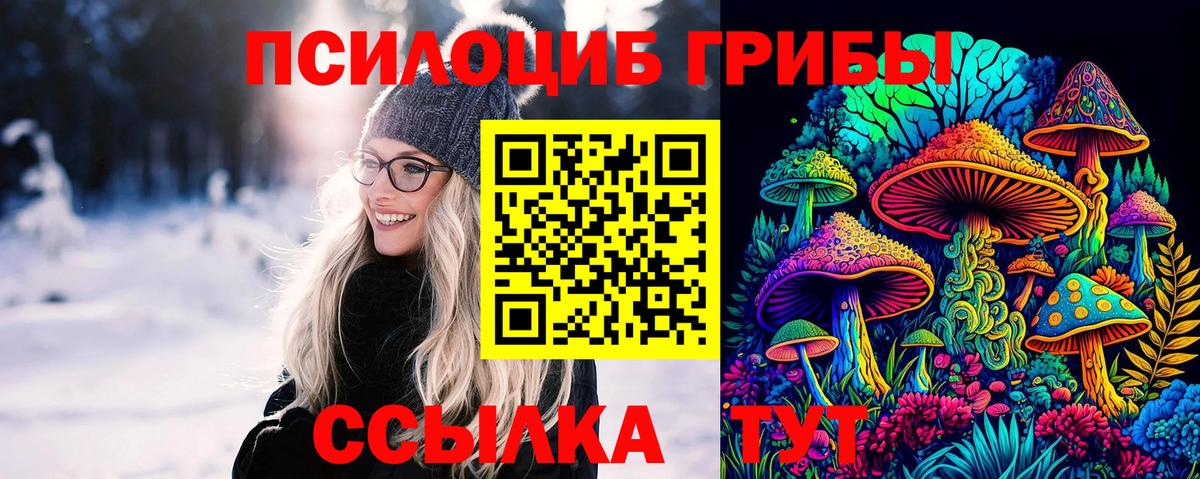 Галлюциногенные грибы Psilocybe Северск